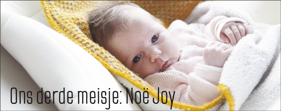 Bolle Buiken Blog 4 | Noe Joy Bolle Buiken Blog 4